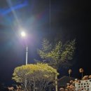 노루목 68 이미지