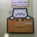 구미 고양이카페 분양 제이캣 이미지