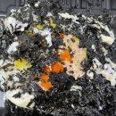 와이마트 신가점 | 신창동 맛집 육감만족 족발 막국수 조합이 꿀!