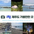 앨리스 in 제주비 | [공지] 8월 제주도 가볼만한 곳? 더위 날려줄 시원한 여름 바다 여행지, 날씨, 옷차림 정보