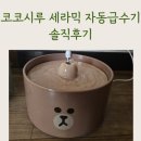 코코세라믹 | 코코시루 세라믹 자동급수기 솔직 리뷰: 세라믹으로 바꾼 이유! 위생, 소음, 벌레 걱정 끝!