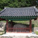 신암학교 앞 티스토리