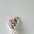 플로렛 이미지