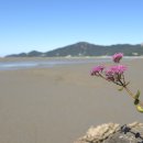 장구넘어 이미지