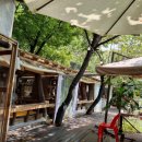 애룡원두막 이미지