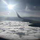 ㈜레츠고 렌터카 | 친구들과 제주 여행 ✈ 1일차