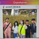 용인대힘찬나래태권도 이미지