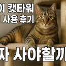 펫토리 | 고양이 캣타워 3개월 사용 후기! 진짜 사야할까?