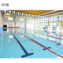 구리시민스포츠센터 일요일 자유수영 후기