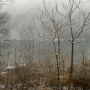 청평면사무소 (1층) 이미지