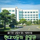 송일관 이미지