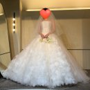 6877 | 시그니처 엘리자베스 본식,2부 드레스피팅 후기