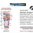 굿피트