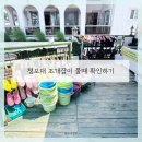 청포대해수욕장 물때 확인하고 해루질, 아이와 조개잡이체험 다녀온 후기