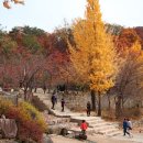 청평사(춘천) 이미지