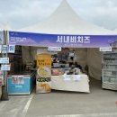 서내비치즈 이미지