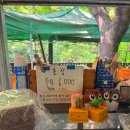 이팅 | 대구 근교 맛집 성주 촌두부집 콩국수 들깨칼숙수 주차 웨ㅣ이팅 예약 후기