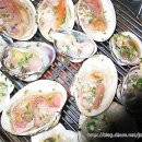 해남일번지 이미지