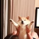 철이네손찜닭 이미지