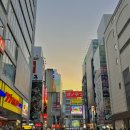 도쿄 - 어제다녀온 아키하바라 풍경 입니다 이미지