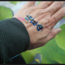 백마고등학교 이미지