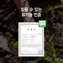 제일농산친환경영농조합법인 | [공지] 맛있는 제주 햇감자! 지금이 먹기 딱 좋아요! 제주 탐나감자 ft. 감자농장 소낭
