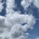 성동가가 이미지