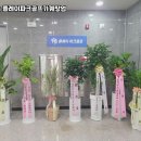 플레이골프 | GTSn 플레이파크골프기계창업 실제 운영 후기 기준