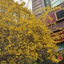 마루 추어탕 | 마루팥빙수, 투에이치호텔, 원조할매낙지, 동래추어탕, 카페 도코 🍨🍲☕️