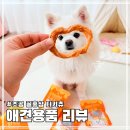 꿀강아지 | 오래 먹는 강아지 간식 추천 조공 꿀홍삼 터키츄