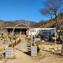 포레스토리(Forestory)