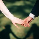 일종축사 이미지