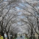 청풍보건지소 이미지