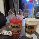 치킨&비어 | 연평도 맛집 펀비어킹 술집 후기 닭발세트 반반치킨 안주 추천 카페예랑수