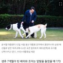 "100kg까지 큰다" 윤 대통령 부부가 아끼던 투르크 국견, 관저 떠난 이유 이미지