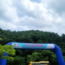 김천 자두 축제 다녀온 후기 _ 김천시 서포터즈 김채현
