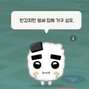 사천 카라반 캠핑장 찾는다면 여기로, 떠들고 웃다 온 4인 캠핑 내 돈 내산 후기 [사천 씨씨 캠핑&카라반]