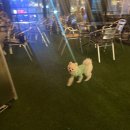 그랑시앤오감쌀롱 이미지