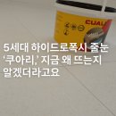 “5세대 하이드로폭시 줄눈 ‘쿠아리’, 지금 왜 뜨는지 알겠더라고요”