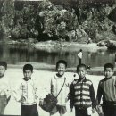 제근 이미지