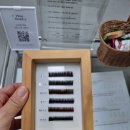 플마뷰티 | [상동속눈썹] 경력자 원장님이 직접 시술해주시는 유지력 긴 속눈썹연장 플마뷰티