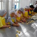 충주남한강초등학교 이미지