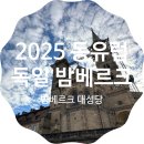신성주유소 | 하나투어 동유럽 4국 7박 9일 여행 Day 7 / 독일 밤베르크 구시청사 밤베르크 대성당