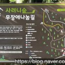 서귀포시 사려니숲 무장애나눔길 네이버블로그