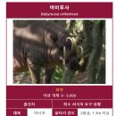 디자인팩주 이미지