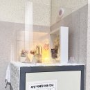 소피아홈 이미지
