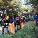 육림개발 이미지