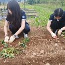 해성농장 이미지