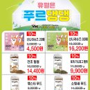 야옹아 멍멍해봐 이미지