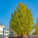 세븐일레븐종로창성점 이미지